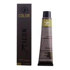 Püsivärv Ecotech Color I.c.o.n., 60 ml цена и информация | Карнавальные костюмы | kaup24.ee