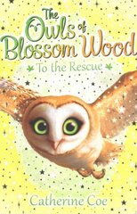 Owls of Blossom Wood: To the Rescue цена и информация | Книги для подростков и молодежи | kaup24.ee