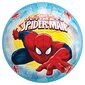 Pall John Spider Man, 230 mm, 54307sp hind ja info | Mänguasjad (vesi, rand ja liiv) | kaup24.ee