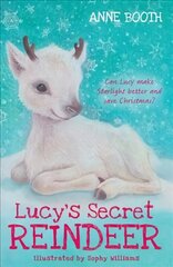 Lucy's Secret Reindeer цена и информация | Книги для подростков и молодежи | kaup24.ee