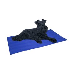 Nayeco koeramatt Cool Mat, sinine, 50 x 40 cm hind ja info | Pesad, padjad | kaup24.ee