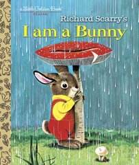 I Am A Bunny цена и информация | Книги для подростков и молодежи | kaup24.ee