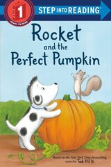 Rocket and the Perfect Pumpkin hind ja info | Noortekirjandus | kaup24.ee