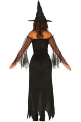 Костюм ведьмы цена и информация | Карнавальные костюмы | kaup24.ee