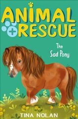 Sad Pony цена и информация | Книги для подростков и молодежи | kaup24.ee