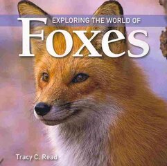 Exploring the World of Foxes hind ja info | Noortekirjandus | kaup24.ee