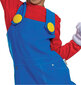 Kostüüm Super Mario 109-126 cm hind ja info | Karnevali kostüümid | kaup24.ee