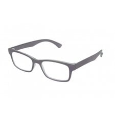 Brilles lasīšanai 7203 D1.00 Soft Grey цена и информация | Очки | kaup24.ee