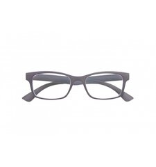 Brilles lasīšanai 7203 D1.00 Soft Grey цена и информация | Очки | kaup24.ee