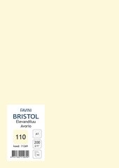 Kartong Bristol 60,5x85cm/200gr, elevandiluu (110), 10 lehte pakis цена и информация | Канцелярские товары | kaup24.ee