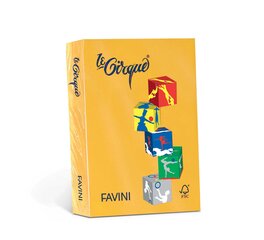 Värviline kartong Le Cirque A4 160 g, kuldkollane (Giallo Oro 201), 250lehte hind ja info | Vihikud, märkmikud ja paberikaubad | kaup24.ee