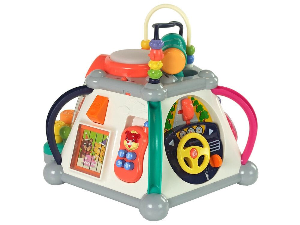 Multifunktsionaalne hariv kuubik lastele hind ja info | Arendavad mänguasjad | kaup24.ee