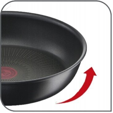 Tefal pann, 24 cm цена и информация | Pannid | kaup24.ee