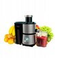 Cecotec Juice&Fresh цена и информация | Mahlapressid | kaup24.ee