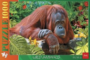 1000-osaline pusle Orangutan hind ja info | Pusled | kaup24.ee