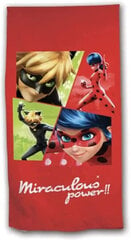 Rannarätik Miraculous Ladybug, 70x140 cm цена и информация | Полотенца | kaup24.ee