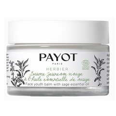 Pinguldav näokreem Payot Herbier Baume Jeunesse Visage, 50 ml hind ja info | Näokreemid | kaup24.ee