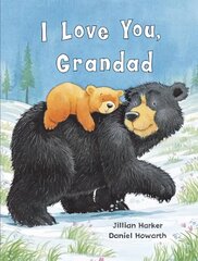 I Love You, Grandad цена и информация | Книги для малышей | kaup24.ee