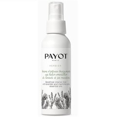 Парфюмированный домашний спрей с эфирными маслами Herbier Beneficial Interior Mist Payot, 100 мл цена и информация | Payot Духи, косметика | kaup24.ee