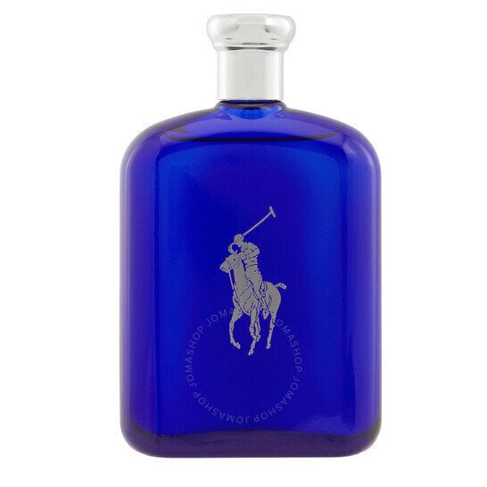 Parfüümvesi Ralph Lauren Polo Blue Edt meestele, 200 ml цена и информация | Naiste parfüümid | kaup24.ee