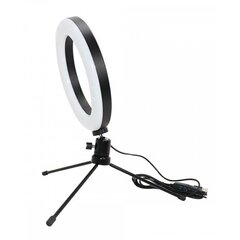 Rõngas LED-lamp Berimax LS16 hind ja info | Fotovalgustuse seadmed | kaup24.ee