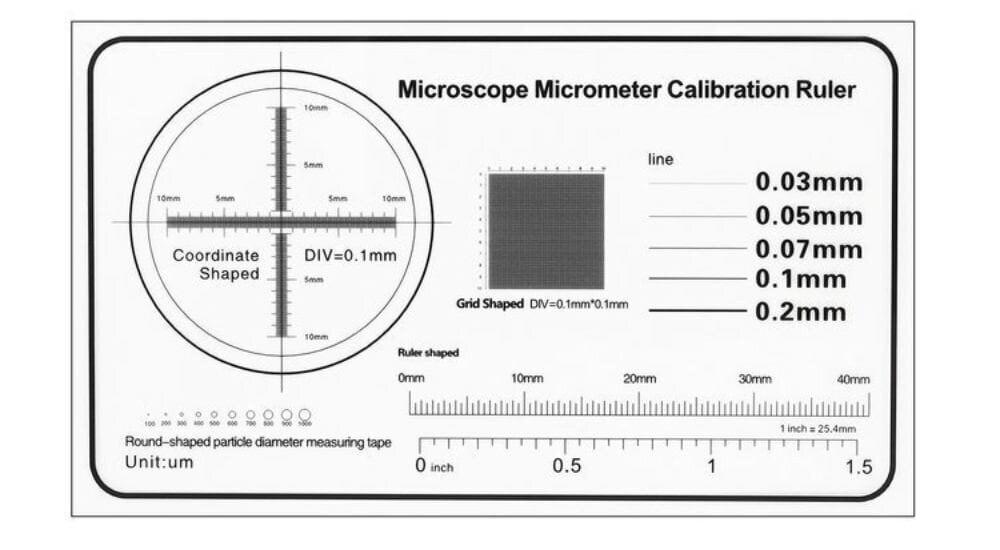 Digitaalne mikroskoop 1600x 2Mpix Berimax цена и информация | Mikroskoobid ja teleskoobid | kaup24.ee