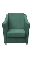 Кресло Bonari, зеленое цена и информация | Кресла в гостиную | kaup24.ee