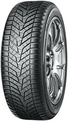 Yokohama BluEarth Winter V905 225/35R19 88 W цена и информация | Зимняя резина | kaup24.ee