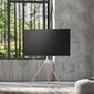 Alterzone Trio Easel TV põrandaalus 45–65-tollistele teleritele, valge цена и информация | Teleri seinakinnitused ja hoidjad | kaup24.ee