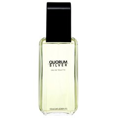 Tualettvesi Antonio Puig Quorum Silver EDT meestele 100 ml цена и информация | Мужские духи | kaup24.ee