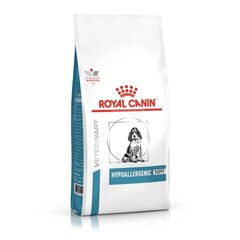 Royal Canin Hypoallergenic для молодых щенков, 3,5 кг цена и информация | Сухой корм для собак | kaup24.ee