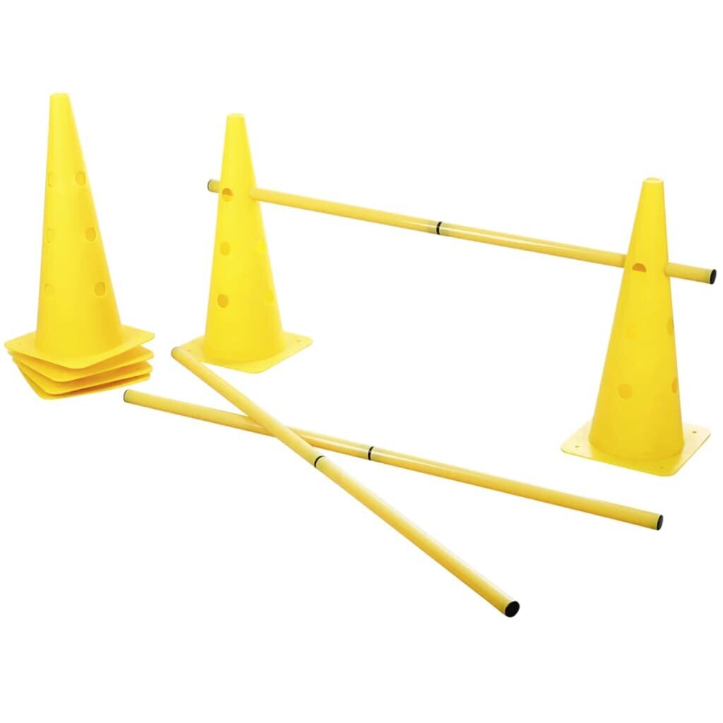 Tõkked Kerbl 2-in-1 Agility Hurdle Cone Set Yellow 81994 hind ja info | Dresseerimise vahendid koertele | kaup24.ee