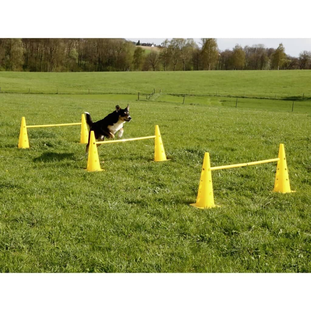 Tõkked Kerbl 2-in-1 Agility Hurdle Cone Set Yellow 81994 hind ja info | Dresseerimise vahendid koertele | kaup24.ee