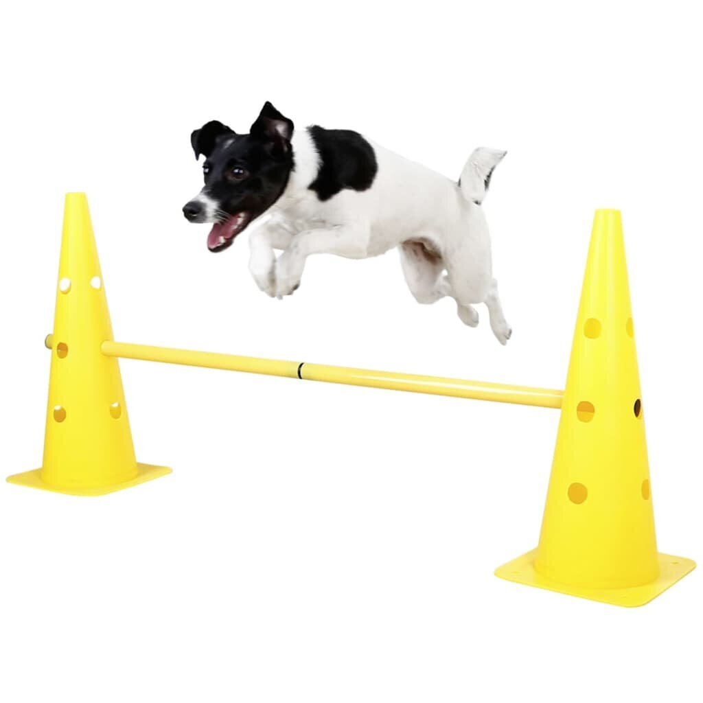 Tõkked Kerbl 2-in-1 Agility Hurdle Cone Set Yellow 81994 hind ja info | Dresseerimise vahendid koertele | kaup24.ee