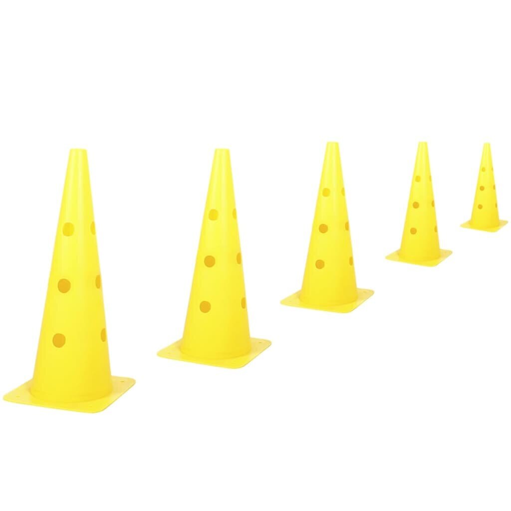 Tõkked Kerbl 2-in-1 Agility Hurdle Cone Set Yellow 81994 hind ja info | Dresseerimise vahendid koertele | kaup24.ee
