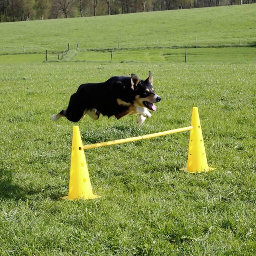 Tõkked Kerbl 2-in-1 Agility Hurdle Cone Set Yellow 81994 hind ja info | Dresseerimise vahendid koertele | kaup24.ee