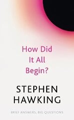 How Did It All Begin? цена и информация | Книги по экономике | kaup24.ee