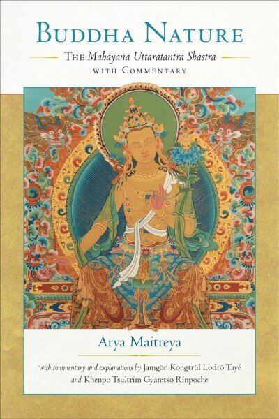 Buddha Nature: The Mahayana Uttaratantra Shastra with Commentary hind ja info | Usukirjandus, religioossed raamatud | kaup24.ee