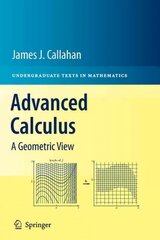 Advanced Calculus: A Geometric View hind ja info | Majandusalased raamatud | kaup24.ee