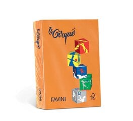 Värviline kartong Favini Le Cirque A4 160 g, oranž (Arancio Tropico 205), 250 lehte hind ja info | Vihikud, märkmikud ja paberikaubad | kaup24.ee