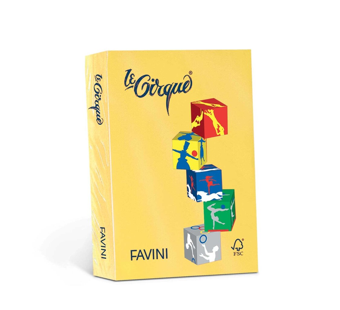 Värviline kartong Favini Le Cirque A4 160 g, kollane (Giallo Solare 202), 250 lehte цена и информация | Vihikud, märkmikud ja paberikaubad | kaup24.ee