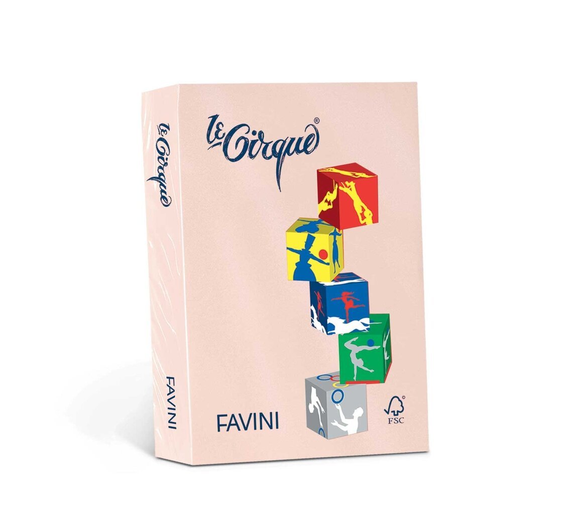 Värviline kartong Favini Le Cirque A4 160 g, roosa (Salmone 103), 250 lehte hind ja info | Vihikud, märkmikud ja paberikaubad | kaup24.ee
