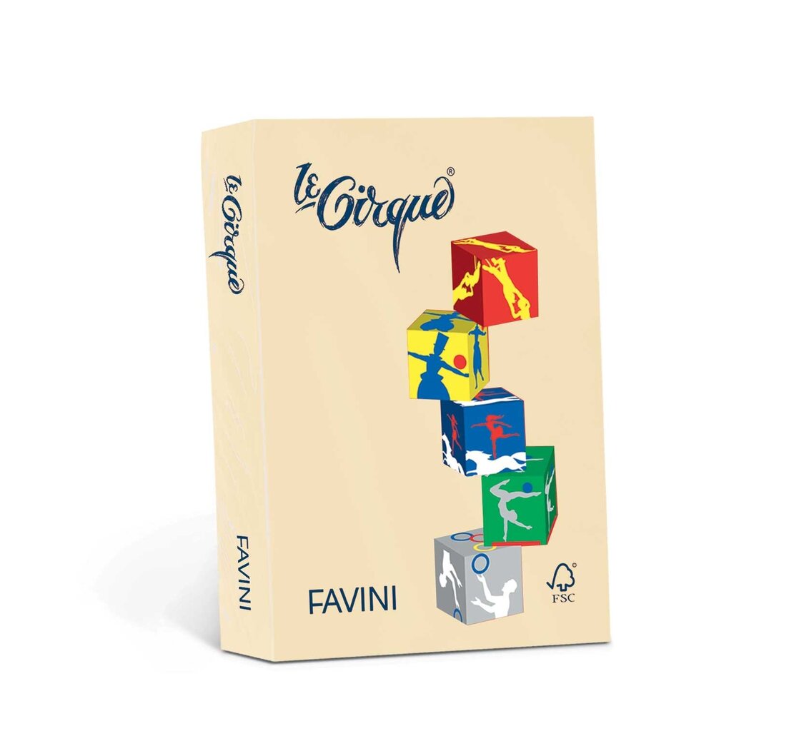Värviline kartong Favini Le Cirque A4 160 g, beež (Camoscio 105), 250 lehte hind ja info | Vihikud, märkmikud ja paberikaubad | kaup24.ee