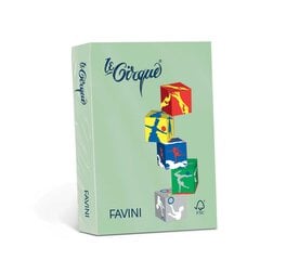 Värviline paber Favini Le Cirque A4 80 g, roheline (Verde 107), 500 lehte цена и информация | Тетради и бумажные товары | kaup24.ee