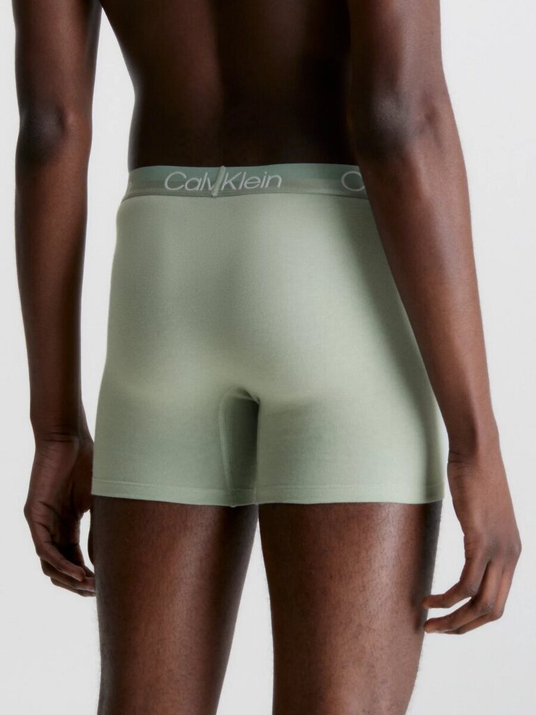 Püksid meestele Calvin Klein 545665296, erinevad värvid, 3 tk. hind ja info | Meeste aluspesu | kaup24.ee