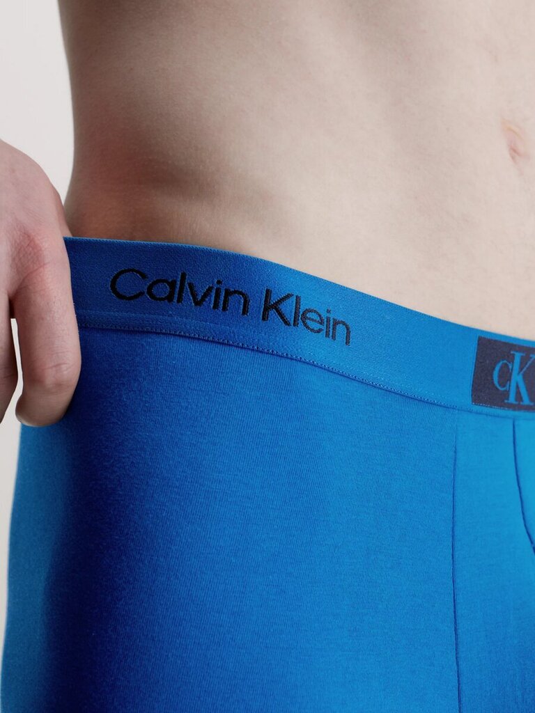 Bokserid meestele Calvin Klein 545665329, erinevad värvid, 3 tk. hind ja info | Meeste aluspesu | kaup24.ee