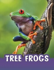 Tree Frogs цена и информация | Книги для подростков и молодежи | kaup24.ee