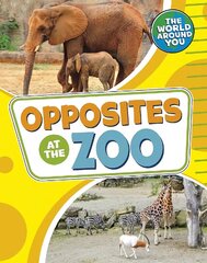 Opposites at the Zoo hind ja info | Väikelaste raamatud | kaup24.ee
