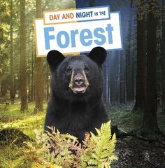 Day and Night in the Forest цена и информация | Книги для подростков и молодежи | kaup24.ee