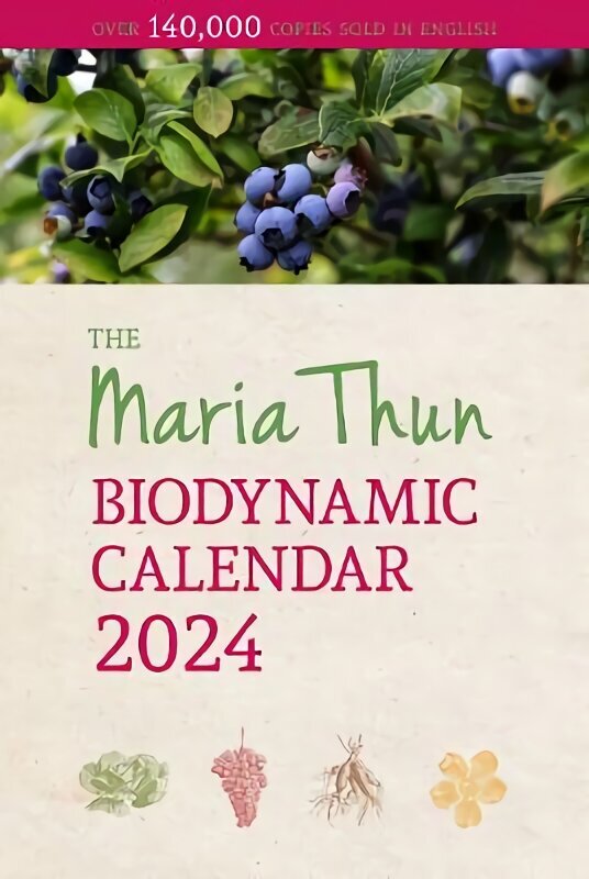 Maria Thun Biodynamic Calendar 2024 цена и информация | Ühiskonnateemalised raamatud | kaup24.ee